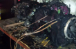 40-Year-old dies, wife critical after EV bike battery explodes in Andhra